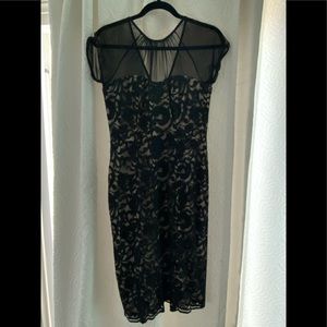 Lace and sheer Black and Tan dress